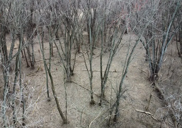 Photo 3 of Land for sale at Lot 2 Palm St, Mc Henry, IL 60051 | MLS# 12614092 | Listing updated on 2026-04-26