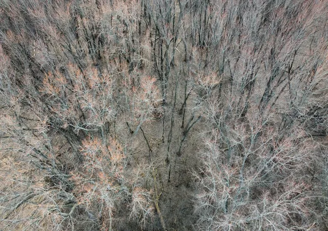 Photo 4 of Land for sale at Lot 2 Palm St, Mc Henry, IL 60051 | MLS# 12614092 | Listing updated on 2026-04-26