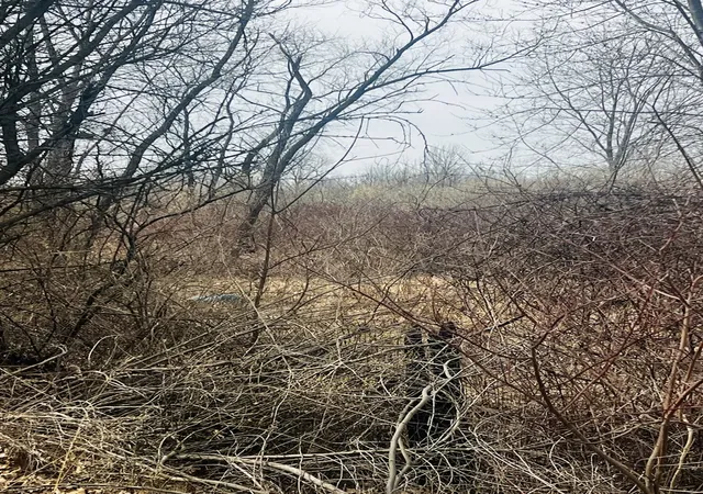 2nd image of (Undisclosed), Pembroke Twp, IL 60958 | MLS# 12616783