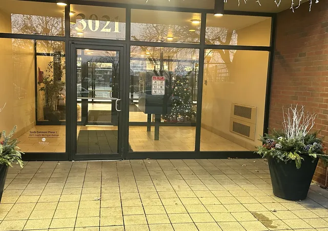 Photo 1 of Condo for sale at 3021 S Michigan Ave #311, Chicago, IL 60616 | MLS# 12618386 | Listing updated on 2026-09-13