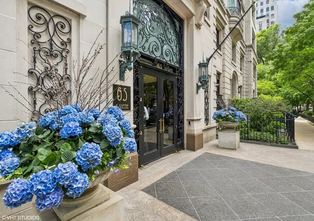 Homes for sale in Chicago, IL | 65 E Goethe St, Chicago, IL 60610