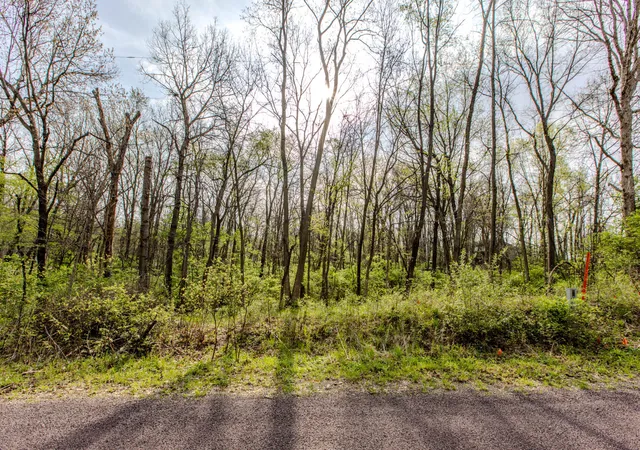 1st image of 56,57 Summit Dr, Mackinaw, IL 61755 | MLS# 12621060
