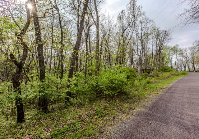 3rd image of 56,57 Summit Dr, Mackinaw, IL 61755 | MLS# 12621060