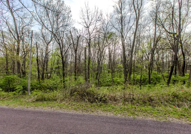 4th image of 56,57 Summit Dr, Mackinaw, IL 61755 | MLS# 12621060