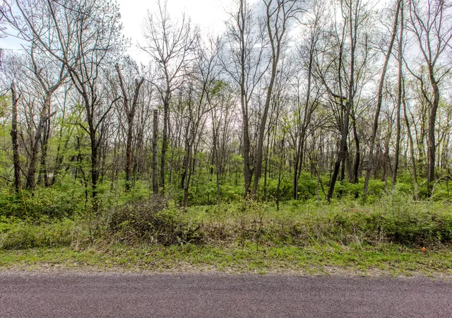 5th image of 56,57 Summit Dr, Mackinaw, IL 61755 | MLS# 12621060