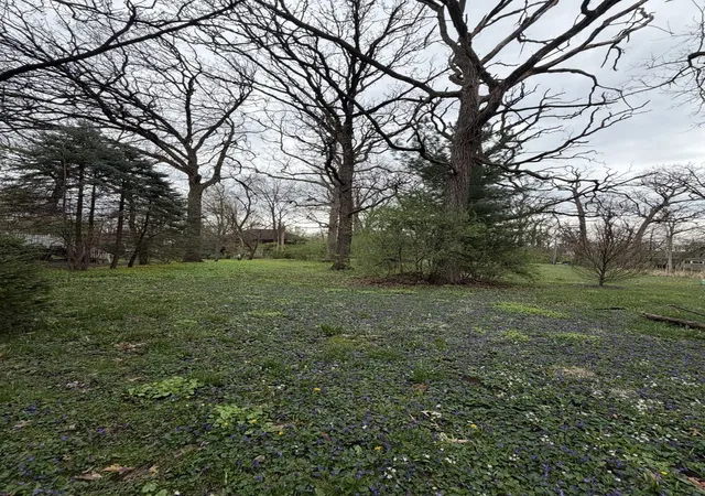 Photo 3 of Land for sale at 11407 Hiawatha Ln, Indian Head Park, IL 60525 | MLS# 12621294 | Listing updated on 2026-07-27