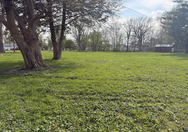 Land for sale at 210 N Maple St, Magnolia, IL 61336 | MLS# 12622110 | Listing updated on 2026-04-27