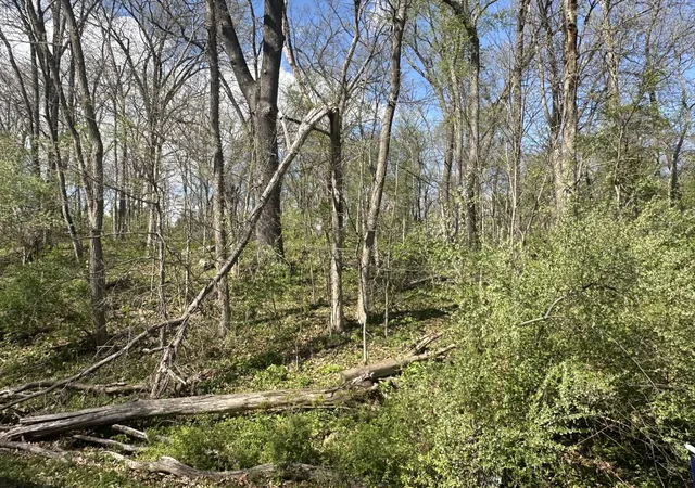 Photo 1 of Land for sale at 0 Lake Thunderbird Hills, Putnam, IL 61560 | MLS# 12623733 | Listing updated on 2026-04-26