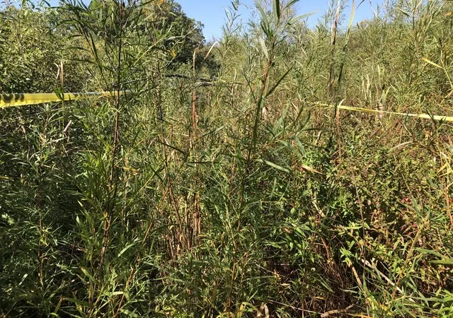 Photo 1 of Land for sale at 14 Alexandra Dr, Mettawa, IL 60048 | MLS# 12623822 | Listing updated on 2026-09-23