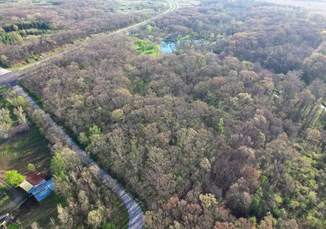 Photo 3 of Land for sale at 0 S Cottage Grv Ave, Crete, IL 60417 | MLS# 12625360 | Listing updated on 2026-04-29