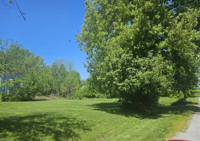 5th image of 0000 W Main St, Buckner, IL 62819 | MLS# 12626652