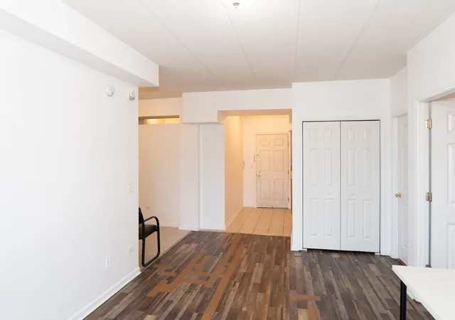 Listing Photo 4 - Condo for sale in building located at 2734 S Wentworth Ave, Chicago, IL 60616 - Unit #311