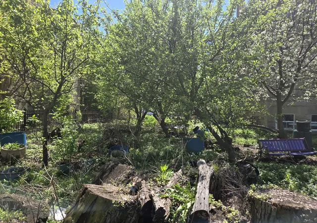 3rd image of 1839 W Touhy Ave, Chicago, IL 60626 | MLS# 12633384