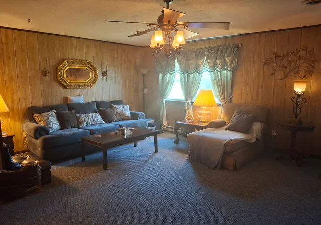 Photo 3 of Single family home for sale at 209 N West St, Elkville, IL 62932 | MLS# 12635769 | Listing updated on 2026-09-21