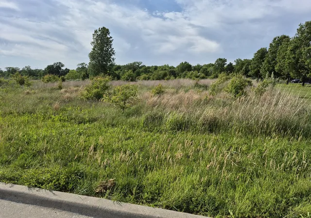 2nd image of 0000 Reed Station Pkwy, Carbondale, IL 62901 | MLS# 12638003