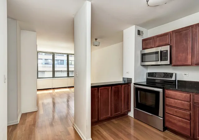 Homes for sale in Chicago, IL | 222 E Pearson St #203, Chicago, IL 60611 | MLS# 12643995