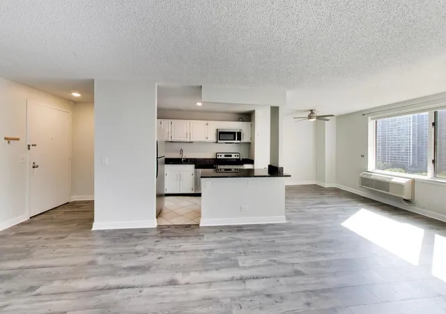 Listing Photo 3 - Condo for sale in building located at 801 S Plymouth Ct, Chicago, IL 60605 - Unit #1006