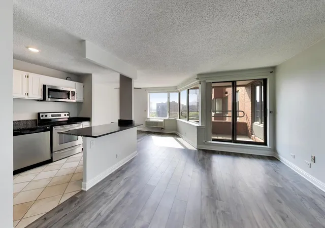 Listing Photo 4 - Condo for sale in building located at 801 S Plymouth Ct, Chicago, IL 60605 - Unit #1006