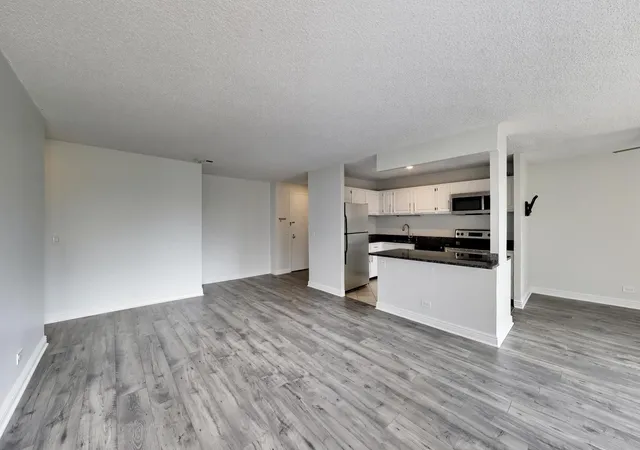 Listing Photo 5 - Condo for sale in building located at 801 S Plymouth Ct, Chicago, IL 60605 - Unit #1006