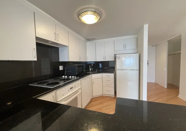 Photo 2 of Condo for sale at 175 E Delaware Pl #5403, Chicago, IL 60611 | MLS# 12646017 | Listing updated on 2026-09-28