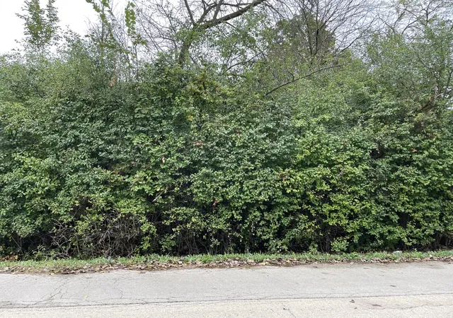 Homes for sale in Joliet, IL | 000 Redbud Dr, Joliet, IL 60433 | MLS# 12650774