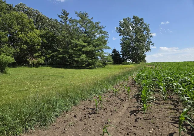 2nd image of 7411 Conley Rd, Huntley, IL 60142 | MLS# 12652504