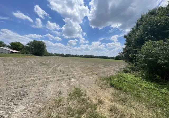 Photo 3 of Land for sale at Tbd Old Bainbridge Rd, Marion, IL 62959 | MLS# 12652689 | Listing updated on 2026-05-25