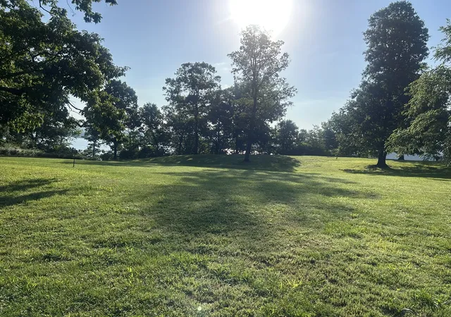1st image of 602 S Raum Park Dr, Golconda, IL 62938 | MLS# 12652799