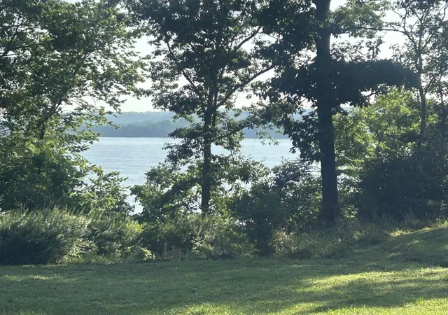 2nd image of 602 S Raum Park Dr, Golconda, IL 62938 | MLS# 12652799