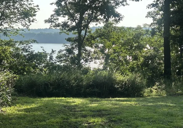 4th image of 602 S Raum Park Dr, Golconda, IL 62938 | MLS# 12652799