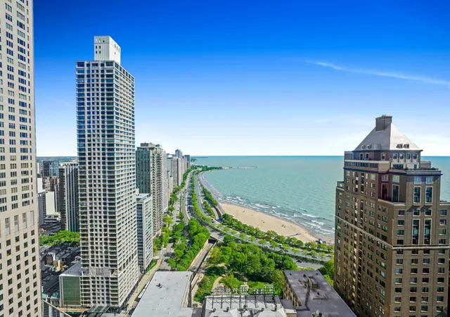2nd image of 159 E Walton Pl, Chicago, IL 60611