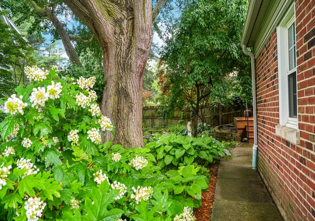54th image of 1009 W Green St, Champaign, IL 61821 | MLS# 12657889