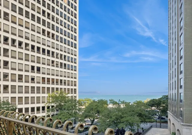 28th image of 79 E Cedar St, Chicago, IL 60611 | MLS# 12658057