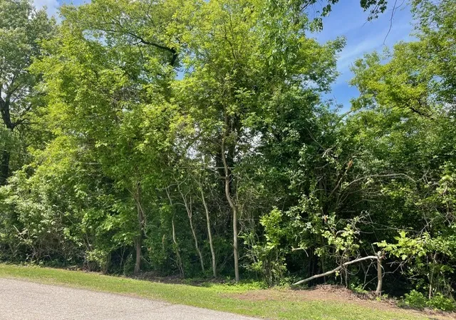 Photo 1 of Land for sale at Lot 0 Pine St S, Mc Henry, IL 60051 | MLS# 12658960 | Listing updated on 2026-06-15