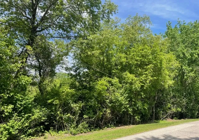 Photo 2 of Land for sale at Lot 0 Pine St S, Mc Henry, IL 60051 | MLS# 12658960 | Listing updated on 2026-06-15