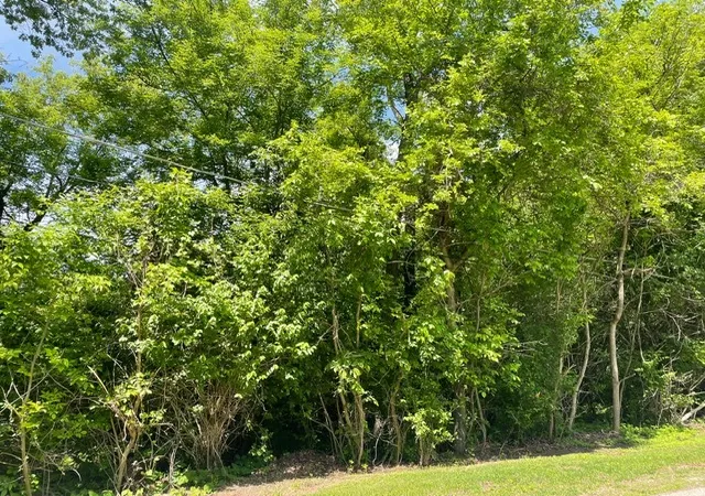 Photo 2 of Land for sale at Lot 0 Pine St S, Mc Henry, IL 60051 | MLS# 12658960 | Listing updated on 2026-06-15