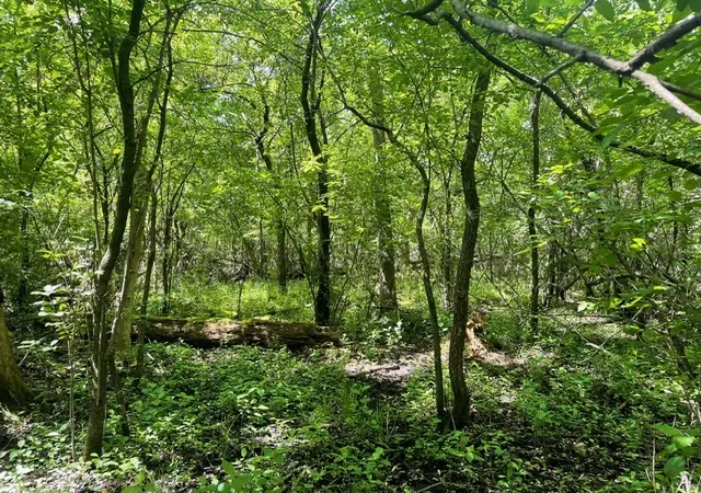 Photo 3 of Land for sale at Lot 0 Pine St S, Mc Henry, IL 60051 | MLS# 12658960 | Listing updated on 2026-06-15