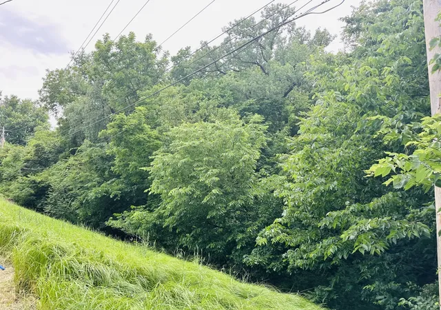 2nd image of Lot 448 10th St, Silvis, IL 61282 | MLS# 12662300