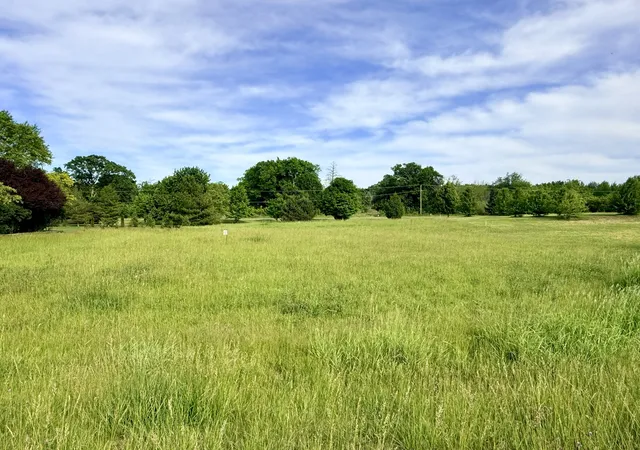 Homes for sale in Yorkville, IL | Lot 17 Savannah Ct, Yorkville, IL 60560 | MLS# 12662451