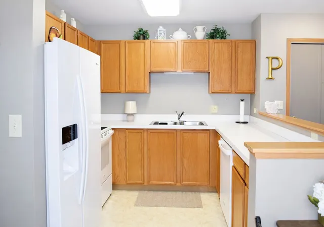 Photo 4 of Condo for sale at 801 N Mclean Blvd #258, Elgin, IL 60123 | MLS# 12663132 | Listing updated on 2026-07-25