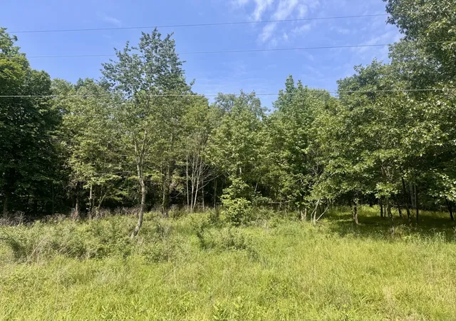 1st image of 000 Shawnee Dr, Goreville, IL 62939 | MLS# 12664329