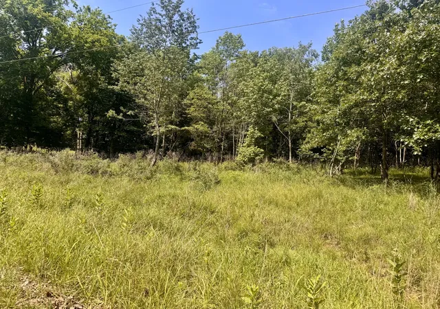 2nd image of 000 Shawnee Dr, Goreville, IL 62939 | MLS# 12664329