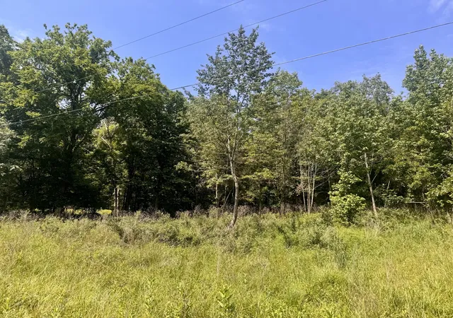 4th image of 000 Shawnee Dr, Goreville, IL 62939 | MLS# 12664329