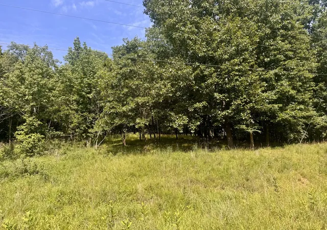 5th image of 000 Shawnee Dr, Goreville, IL 62939 | MLS# 12664329