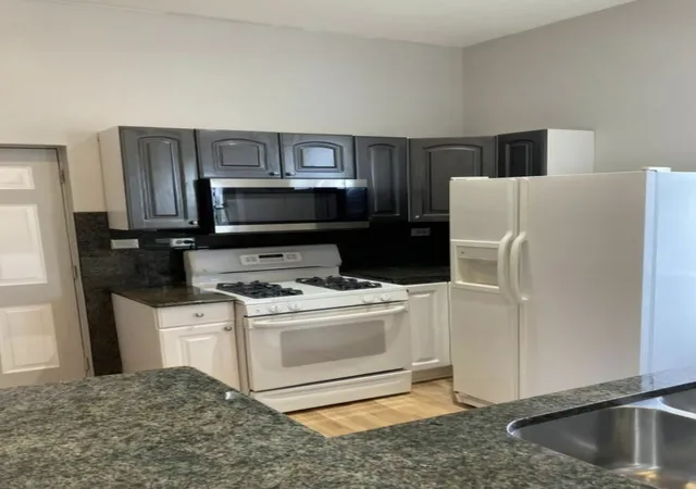 Homes for sale in Chicago, IL | 4321 S Ellis Ave, Chicago, IL 60653