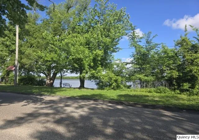 2nd image of 140 W 1st St, Dallas City, IL 62330 | MLS# 12665553