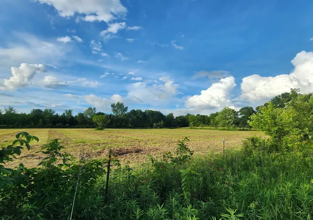 2nd image of 6408 N 1850 Blvd, Mount Carmel, IL 62863 | MLS# 12666310