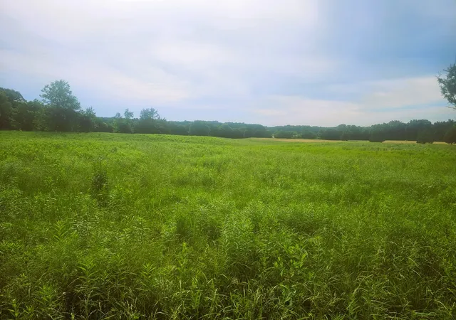 Photo 1 of Land for sale at 0000 N Stanford Ln, Opdyke, IL 62872 | MLS# 12666757 | Listing updated on 2026-06-09
