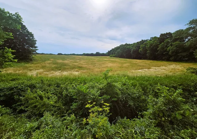 Photo 11 of Land for sale at 0000 N Stanford Ln, Opdyke, IL 62872 | MLS# 12666757 | Listing updated on 2026-06-09