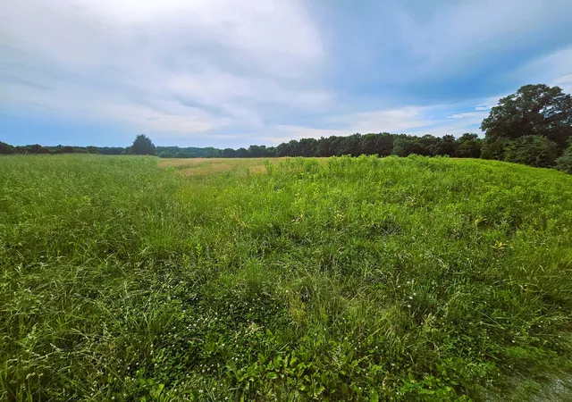 Photo 2 of Land for sale at 0000 N Stanford Ln, Opdyke, IL 62872 | MLS# 12666757 | Listing updated on 2026-06-09